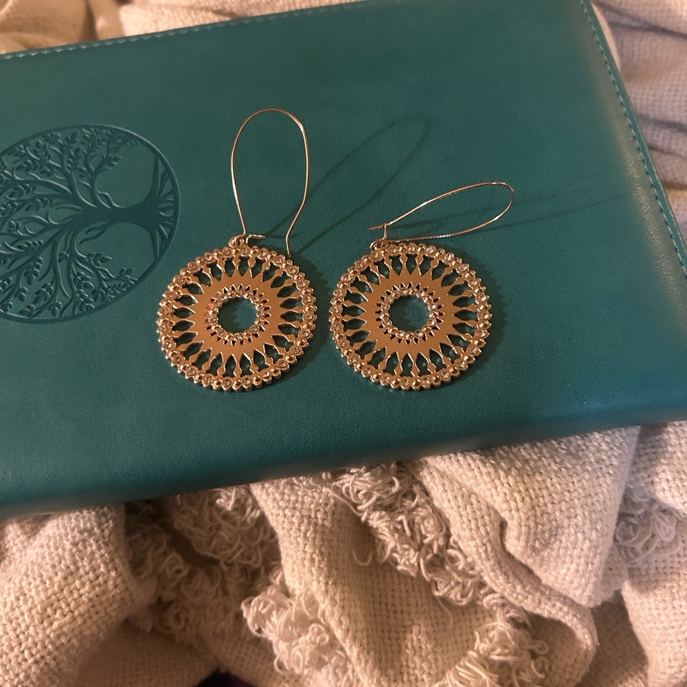 Elegant  Rose Gold Hoop Earrings
